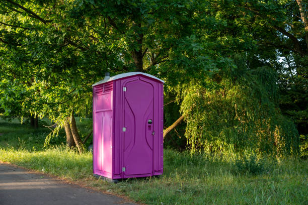 Best Porta potty rental for parties  in Glespie, IL